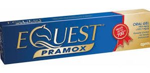 Equest Paramox