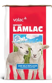 Lamlac instant