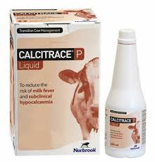 Calcitrace P Liquid