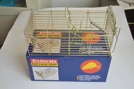 Endorat – Rat Cage