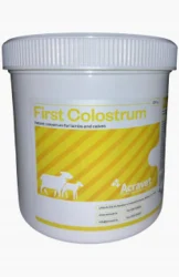 First Colostrum Lamb And Calf
