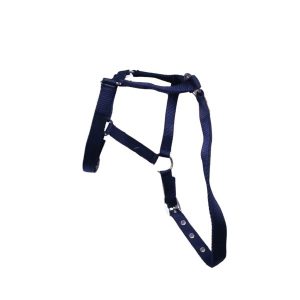 NYLON HEAD COLLAR NAVY FOAL