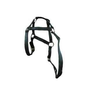 NYLON HEAD COLLAR GREEN COB